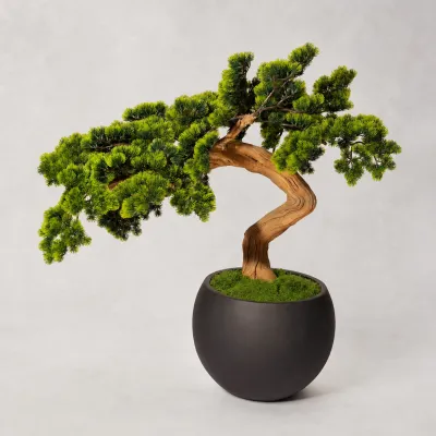 Product — photo 3 of 5