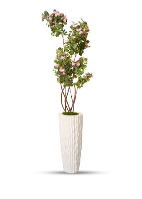Product — photo 4 of 5