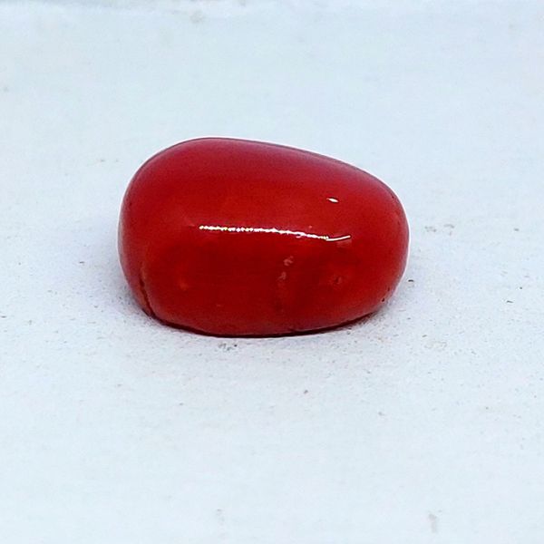 Coral (Moonga/Munga): The Gemstone of Vitality and Courage, Semi Rounded Shaped